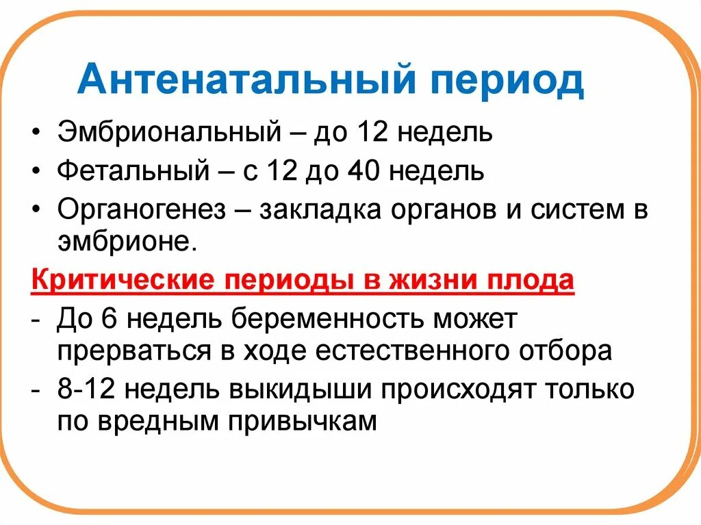 На какие этапы делится. Периоды антенатального развития. Периоды внутриутробного развития плода антенатальный. Характеристика антенатального периода. Внутриутробный период основные этапы.