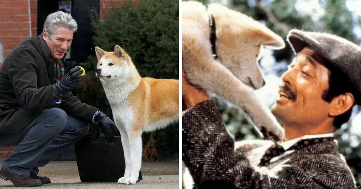 Хатико: самый верный друг (2008). Hachiko 1987. Хатико 1925 с хозяином.