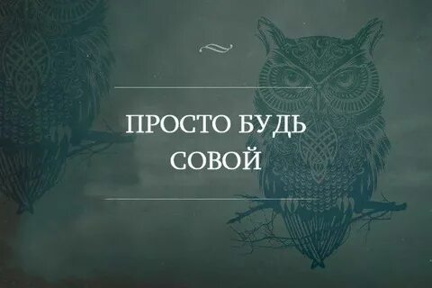 Будь проще цитаты