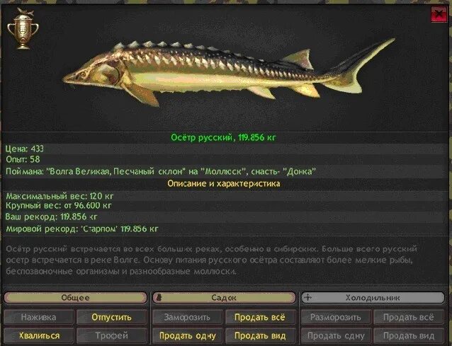 объясните слова осетр. объяснить слова холодная изморось осетр стерлядь были небылицы. объясните слова осетр. осетровые характеристика. объясните слова осетр.