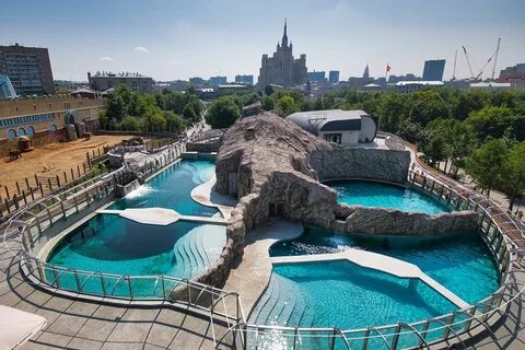Отели рядом с зоопарком москва