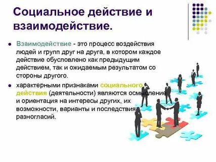 Социальное поведение социальное действие социальное взаимодействие