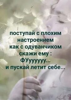 i?id=926f6886d742c98a4c44c0d00b5a84220c3e65e7-5233251-images-thumbs&n=13