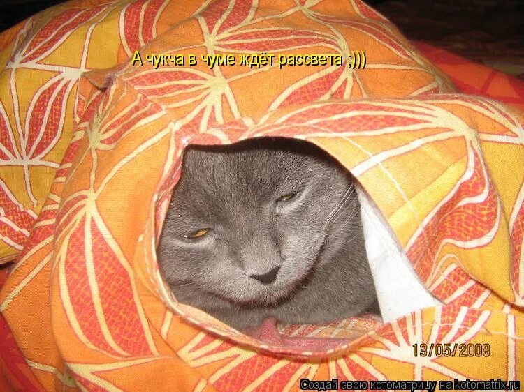 чукча в чуме ждет рассвета рисунок. чукча в чуме ждет рассвета песня слушать. чукча в чуме ждет рассвета. чукча в чуме ждет рассвета песня слушать. чукча в чуме ждет.