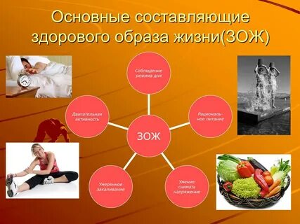 Презентации проектов зож