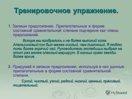 Сколько прилагательных в предложении за песчаной косой