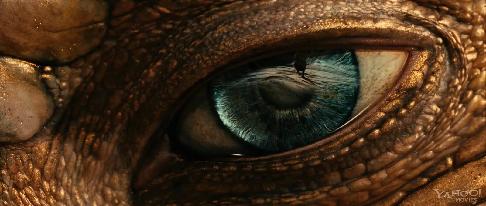 Глаза дракона (dragon eyes). Голубой драконий глаз. Глаз дракона смауг. Хроники нарнии дракон. Глаза необычные магические.