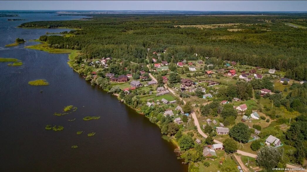 Вилейское водохранилище. Сосенка вилейский. Дзержинское водохранилище беларусь. Сосенка вилейский. Литва видишкес.