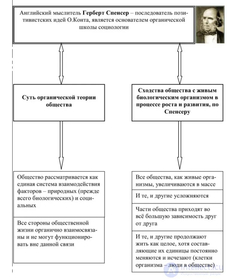 Герберт спенсер является основателем теории происхождения государства. Органическая теория герберта спенсера. социологическая теория спенсера. г спенсер органическая теория. органическая теория общества г спенсера.
