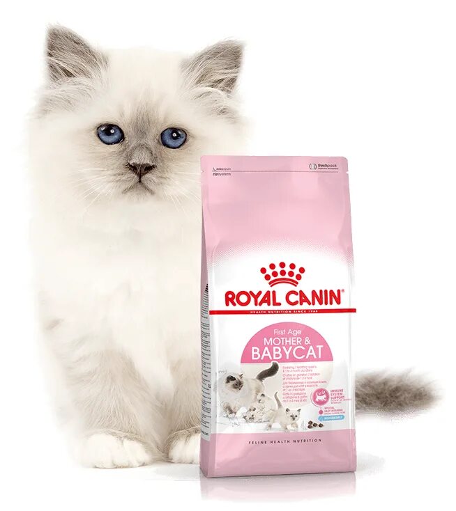 Корм для беременных и кормящих кошек. Royal Canin mother Babycat сухой корм. Корм Royal Canin mother&Babycat сухой для котят от 1 до 4 месяцев и беременных кошек. Royal Canin Babycat сухой. Royal Canin Babycat 400+400.