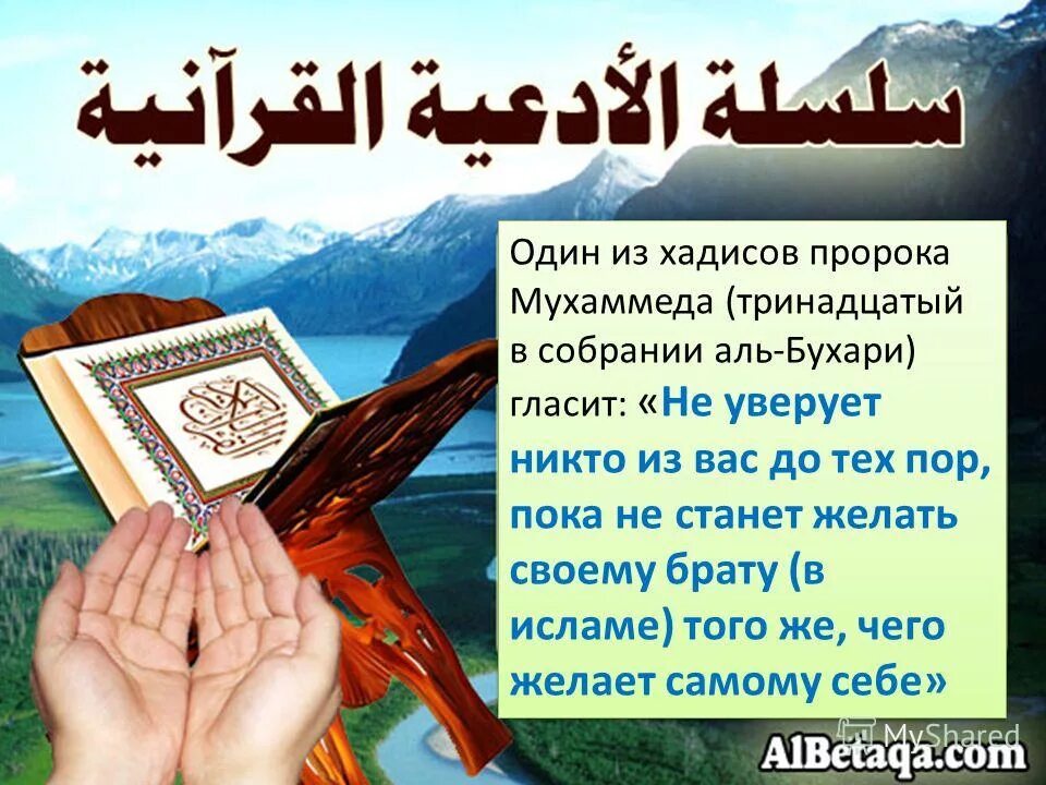 Хадис пророк мухаммад саллаллаху. Хадисы пророка мухаммада с.а.в. хадисы пророка. хадисы пророка достоверные. хадисы пророка мухаммеда достоверные.