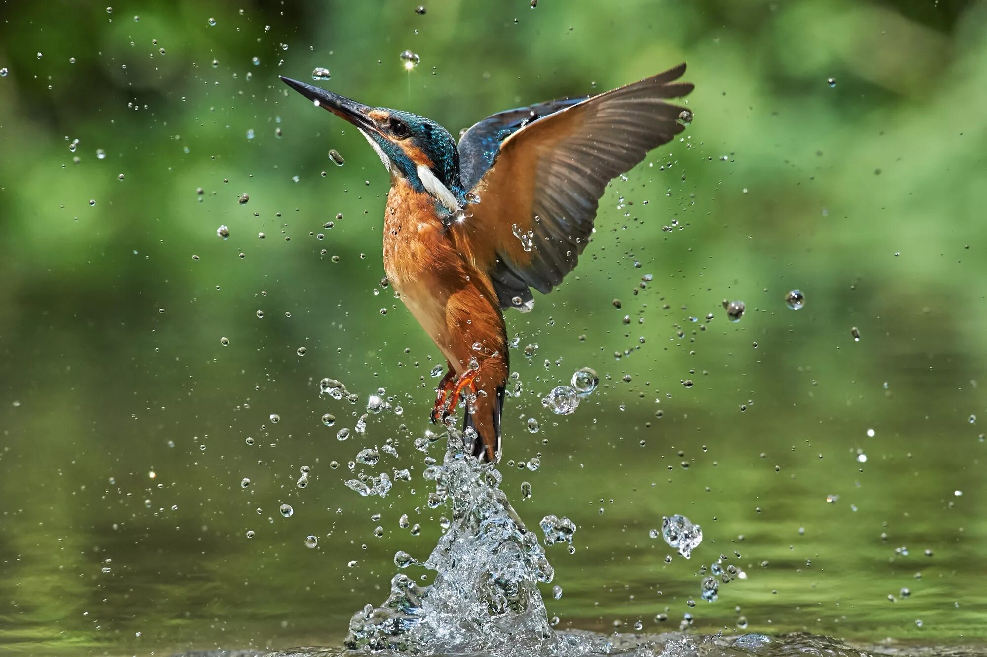 Пение воды