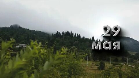 29 мая день