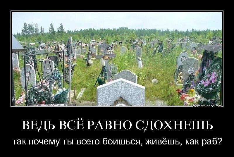 Почему жить все хуже. Смерть не страшна. Страшно жить. Страшно жить в России демотиваторы.