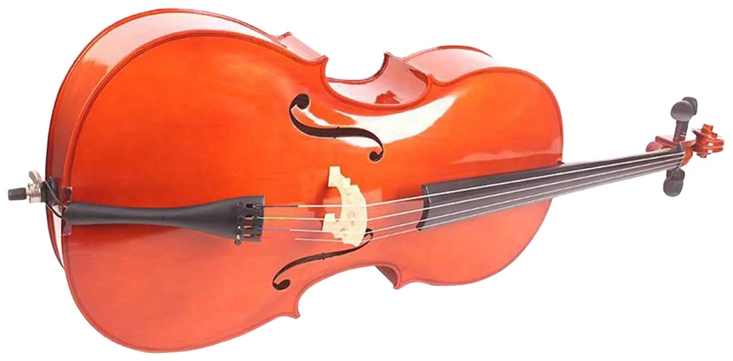 Cello. Гриф скрипки. Виолончель cremona sc-200 4/4. Гриф виолончели. Порожек для виолончели.