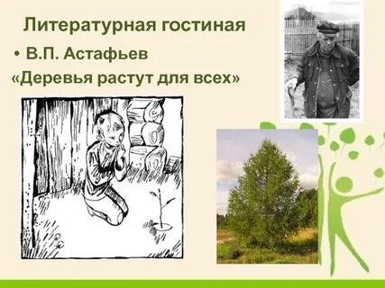 Деревья растут для всех