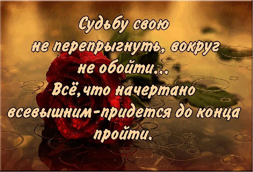 3 всевышних. У каждого своя судьба стихи. Цитаты про судьбу. Афоризмы про судьбу. Цитаты про судьбу и любовь.