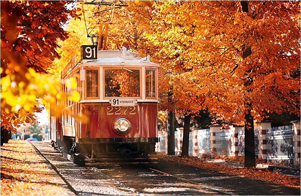 Free Autumn Mac Wallpapers, iMac Wallpapers, Retina MacBook Pro Wallpapers, MacB