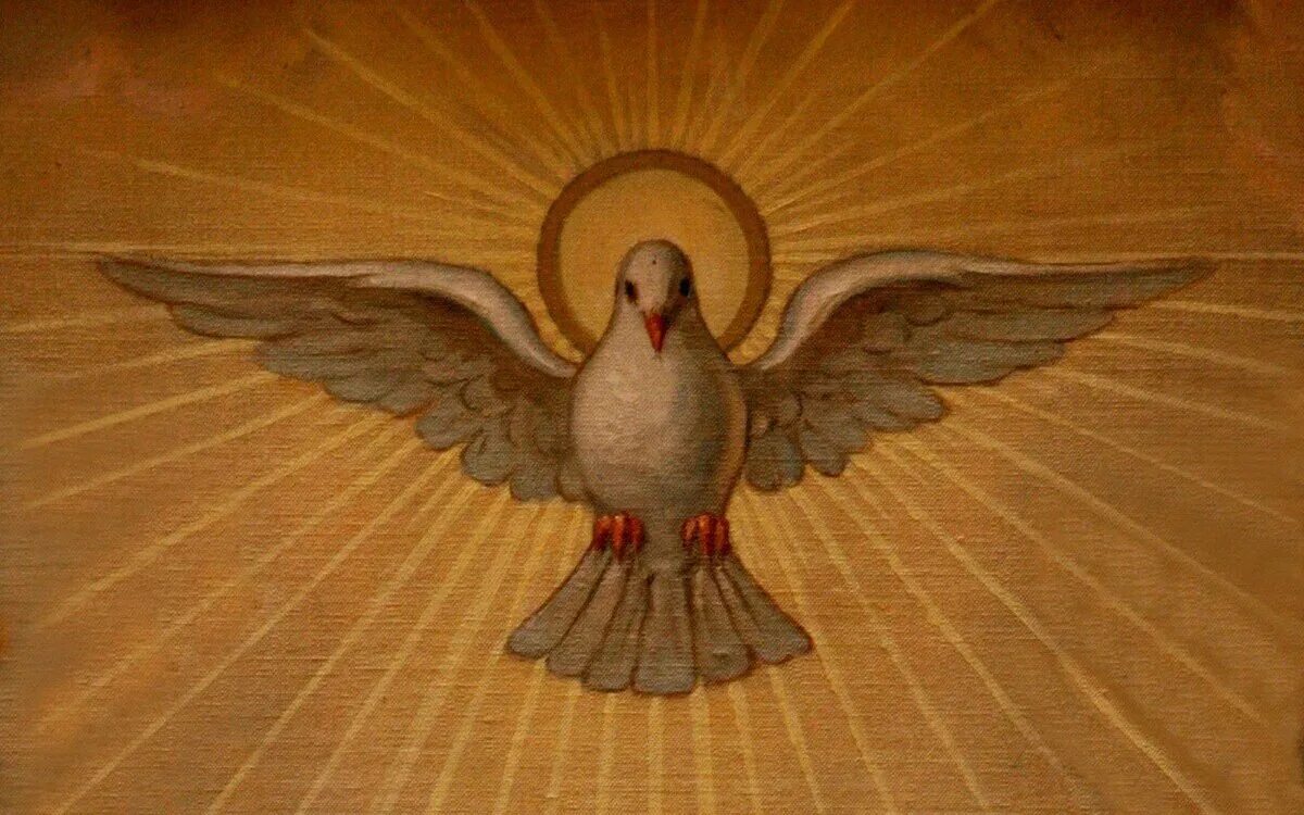 Божья птица это. Сошествие Святого духа икона голубь. Голубь Святого духа иконография. Св дух икона голубь. Святой дух в православной иконографике.