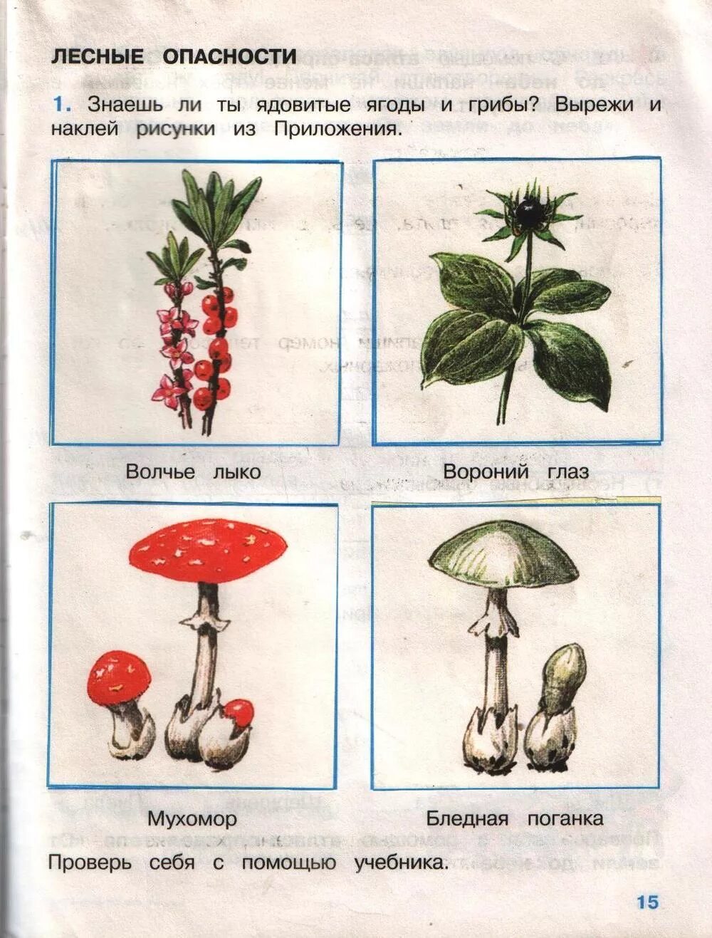 Тест окружающий мир лесные опасности 2 класс. Окружающий мир 2 класс рабочая тетрадь Плешаков Лесные опасности. Окружающий мир 2 класс рабочая тетрадь Лесные опасности ответы. Лесные опасности 2 класс окружающий мир рабочая тетрадь 2. Лесные опасности рабочая тетрадь.