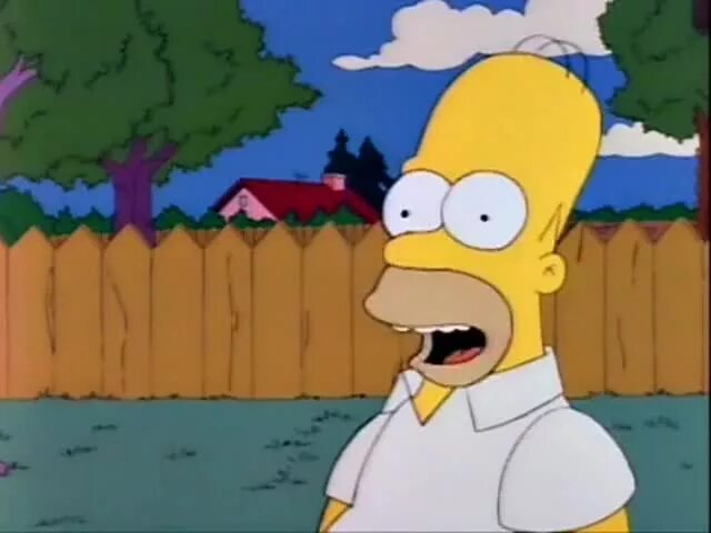Where is funny. Забор симпсоны. Where funny. Where are you funny. Wheres the funny.