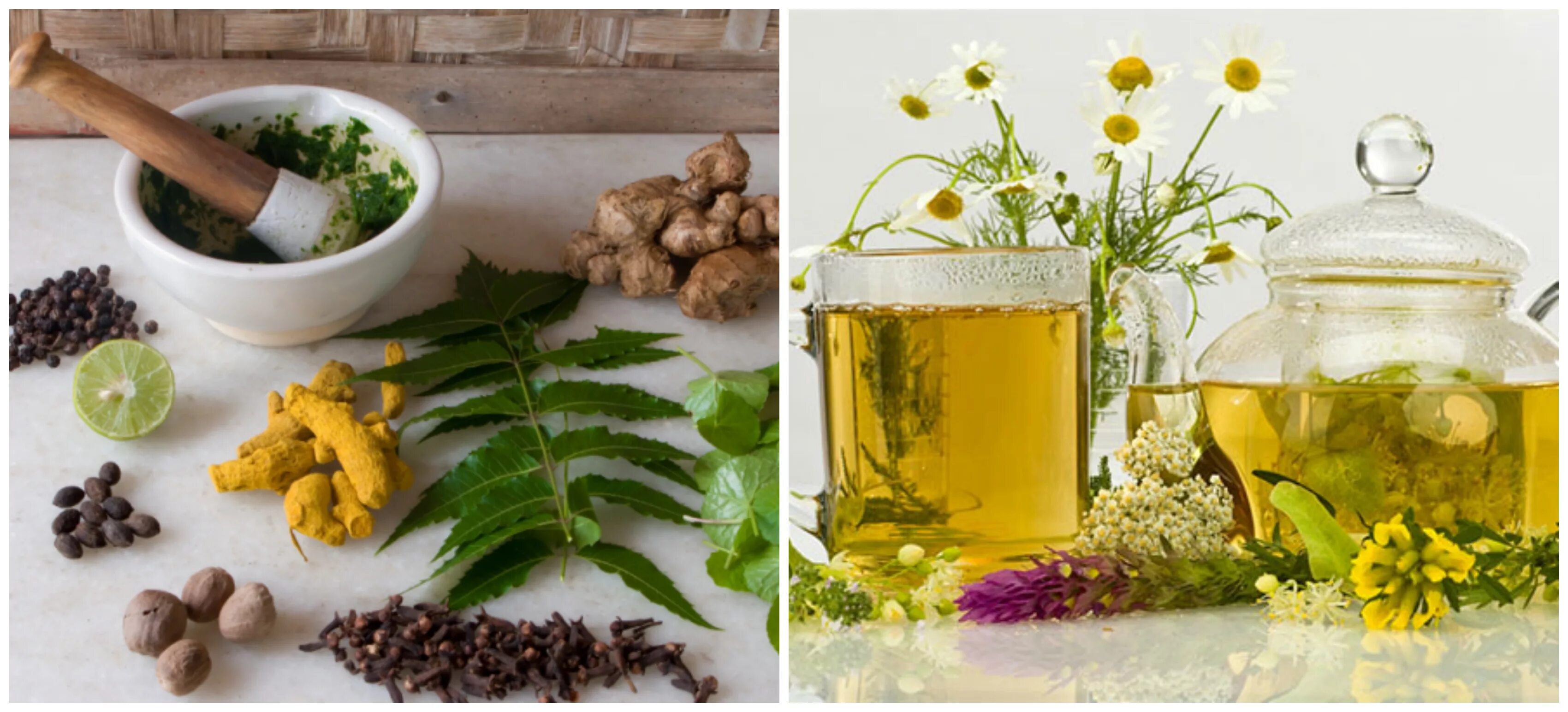 Чай из одуванчиков. Лекарственные растения при варикозе. Фитотерапия. Травяные ванночки для ног. Одуванчик лекарственный отвар.