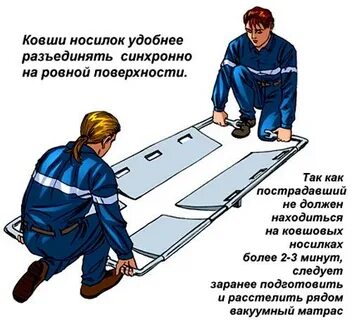 Какое слово лишнее поднос носатый носилки носит