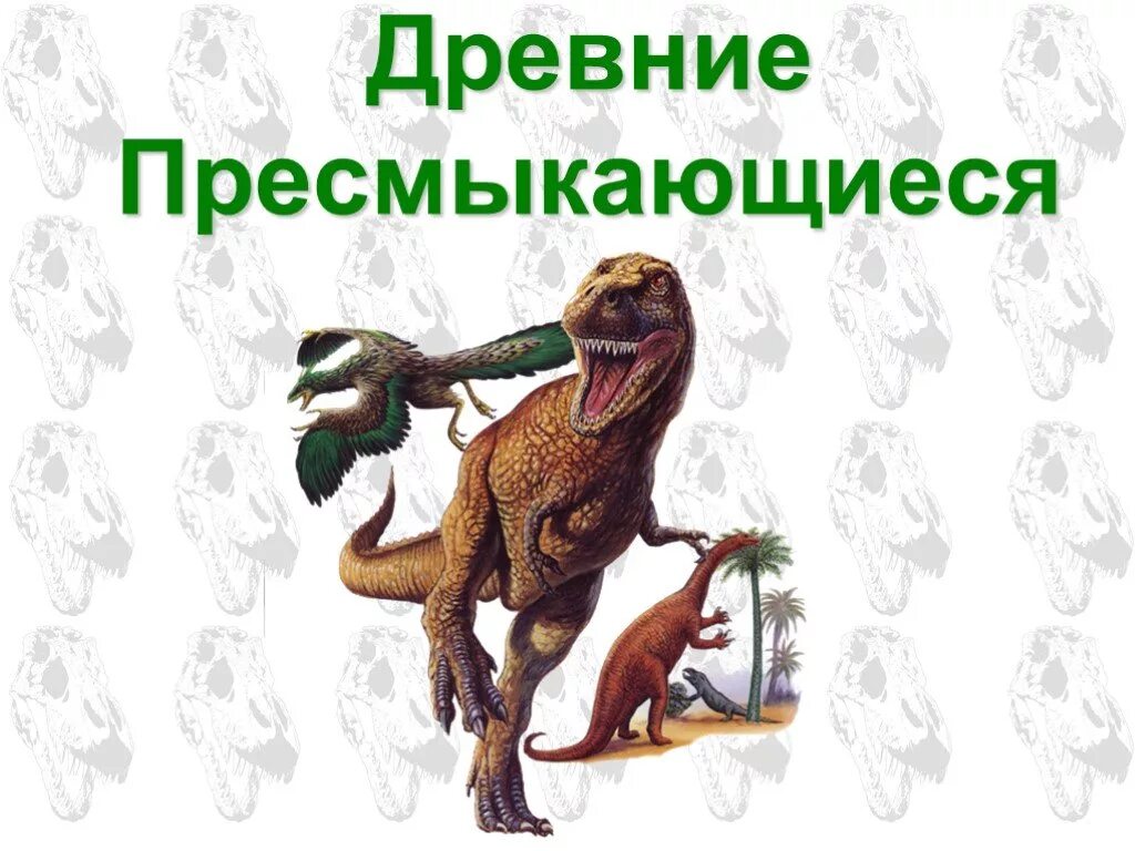 Древним пресмыкающимся является. Древние пресмыкающиеся 7 класс биология. Разнообразие древних пресмыкающихся. Древние пресмыкающиеся, древние рептилии. Древние пресмыкающиеся 7 класс.