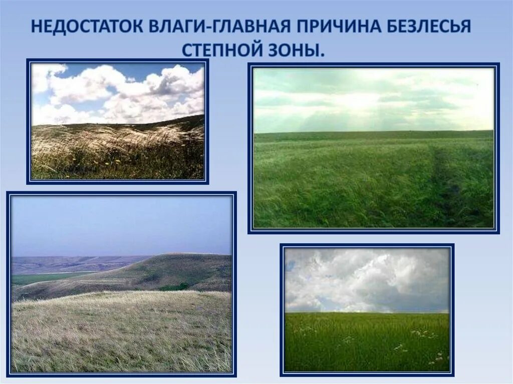 В какой природной зоне недостаток влаги. Природные зоны России. Зона степей России. Природные зоны России зона степей. Главная причина безлесья степей.