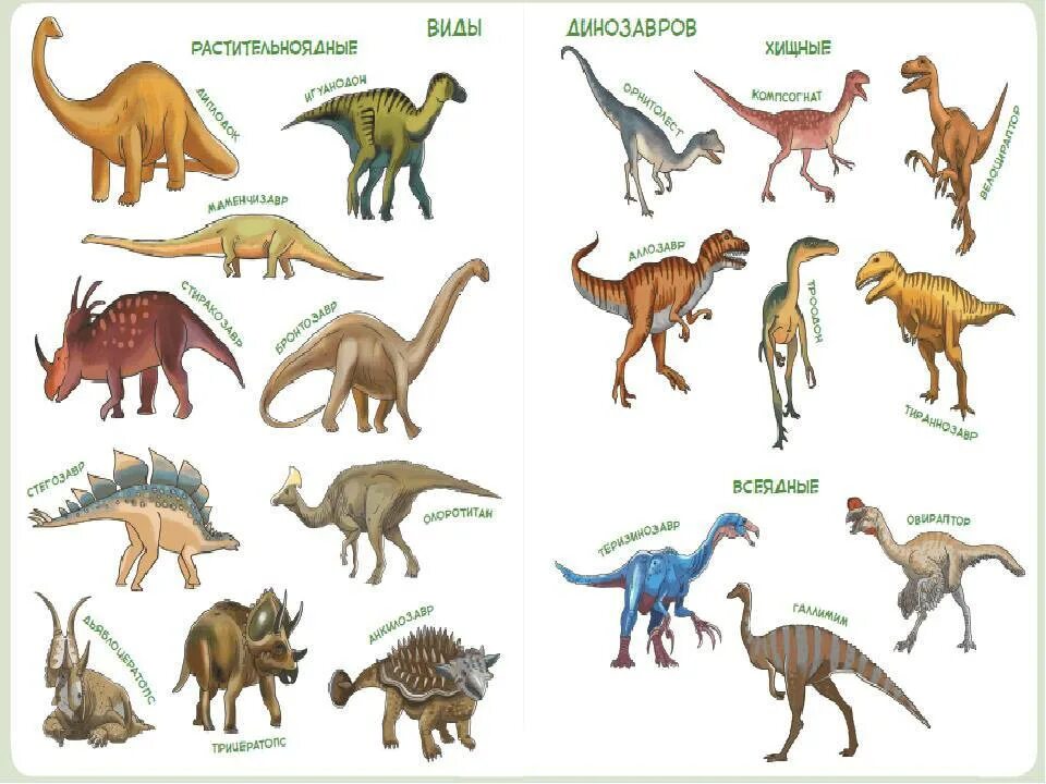 Какой 1 динозавр. Виды динозавров. Динозавры названия. Динозавры представители. ВИДЫЭ динозавров.
