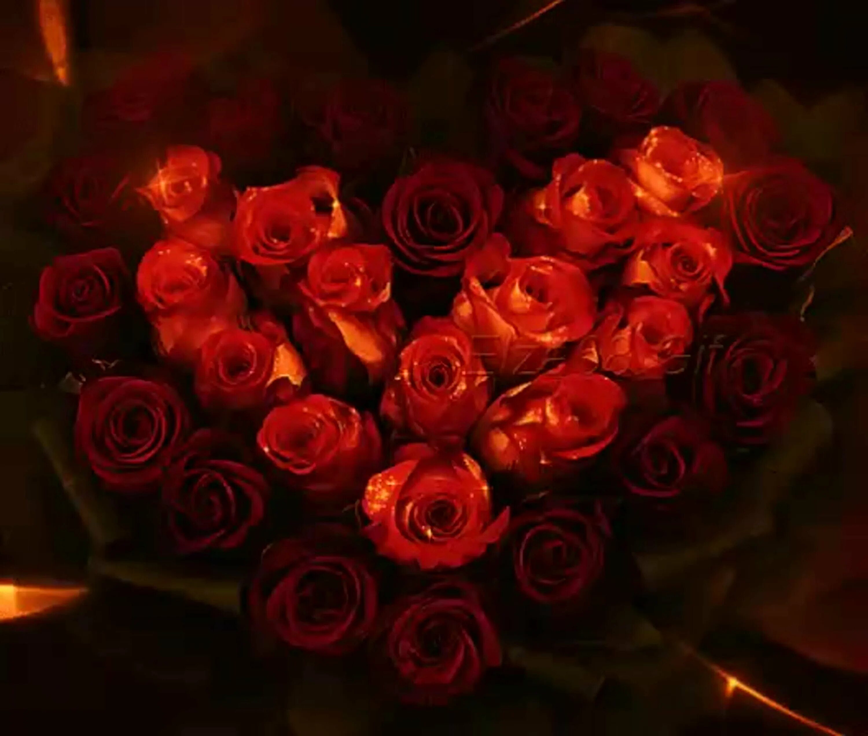 Букет роз ночью. Букет алых роз. Шикарные красные розы. Роскошный букет красных роз.