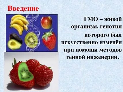 Проект гмо