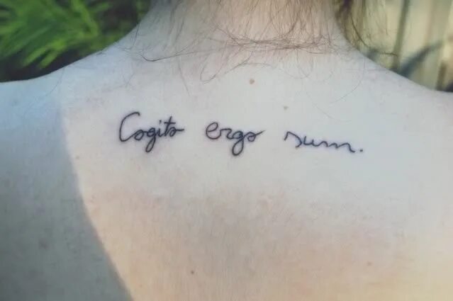 Debes ergo potes. Cogito ergo sum тату. когито эрго сум на латыни. cogito ergo sum тату для девушки. cogito ergo sum тату эскизы.