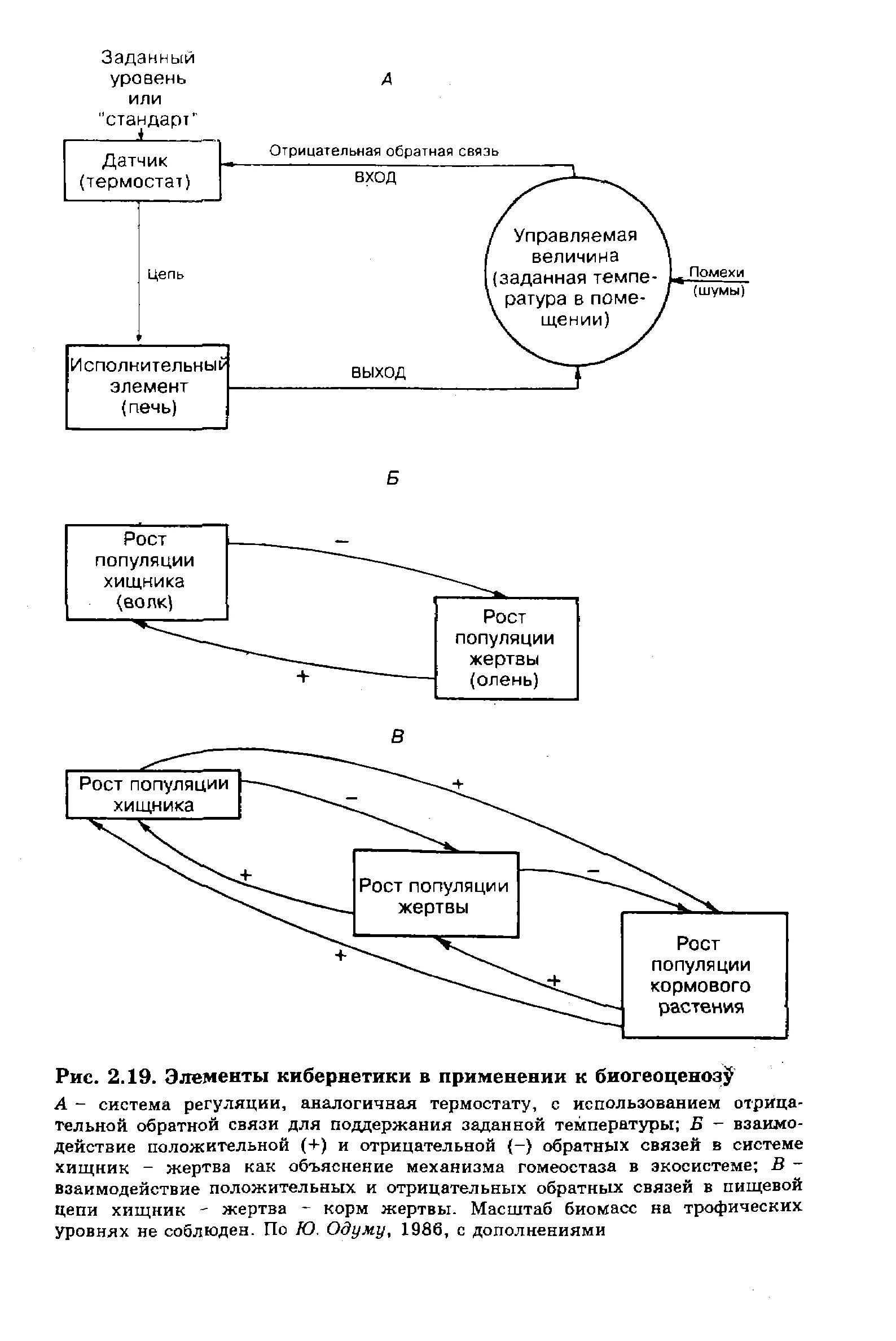 Обратные связи в экосистемах. Принцип отрицательной обратной связи. Отрицательная обратная связь примеры. Схема обратной связи. Отрицательная обратная связь.