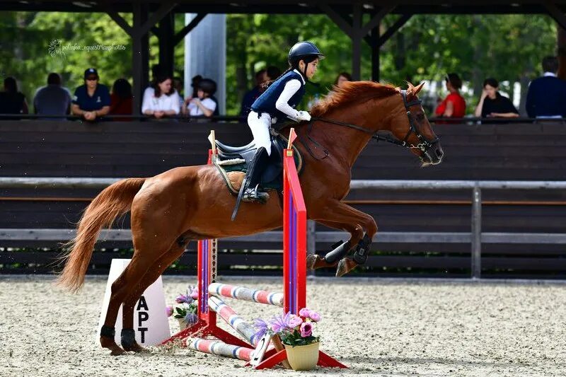 кск ели. наряд для конной прогулки. конно-спортивный комплекс цска на дыбенко. конный клуб корос красногорск. конный спорт.