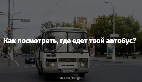 Номер автобуса. Маршрутный автобус. Гос номер автобуса. Твой автобус.