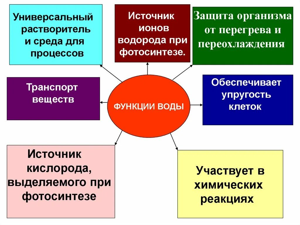 Какова функция воды. Функции воды в организме человека таблица. Функции воды. Функции воды в организме. Основные функции воды.