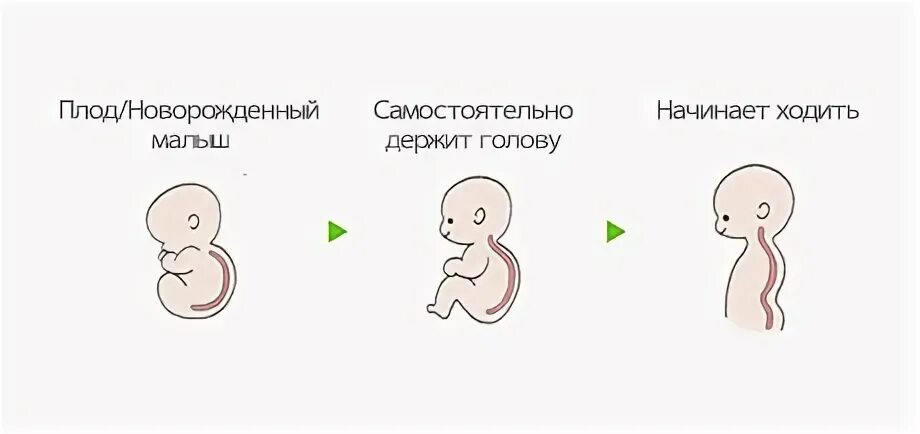 Во сколько дети начинают ходить. Когда ребёнок начинает ходить самостоятельно. Во сколько дети начинают ходить самостоятельно. Во сколько дети ходят. Во сколько дети начинают держать голову самостоятельно