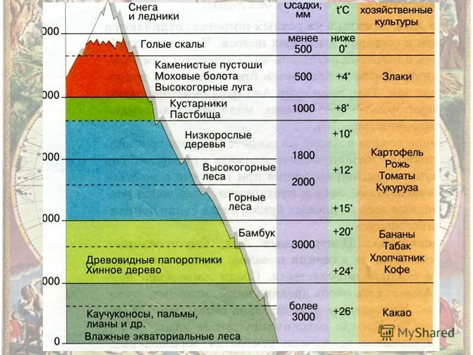 Перечислите природные зоны в порядке. Высотная поясность в Андах. Высокая поястнасть Анды. Высотная поясность в Андах на широте экватора. Зоны ВЫСОТНОЙ поясности климат.