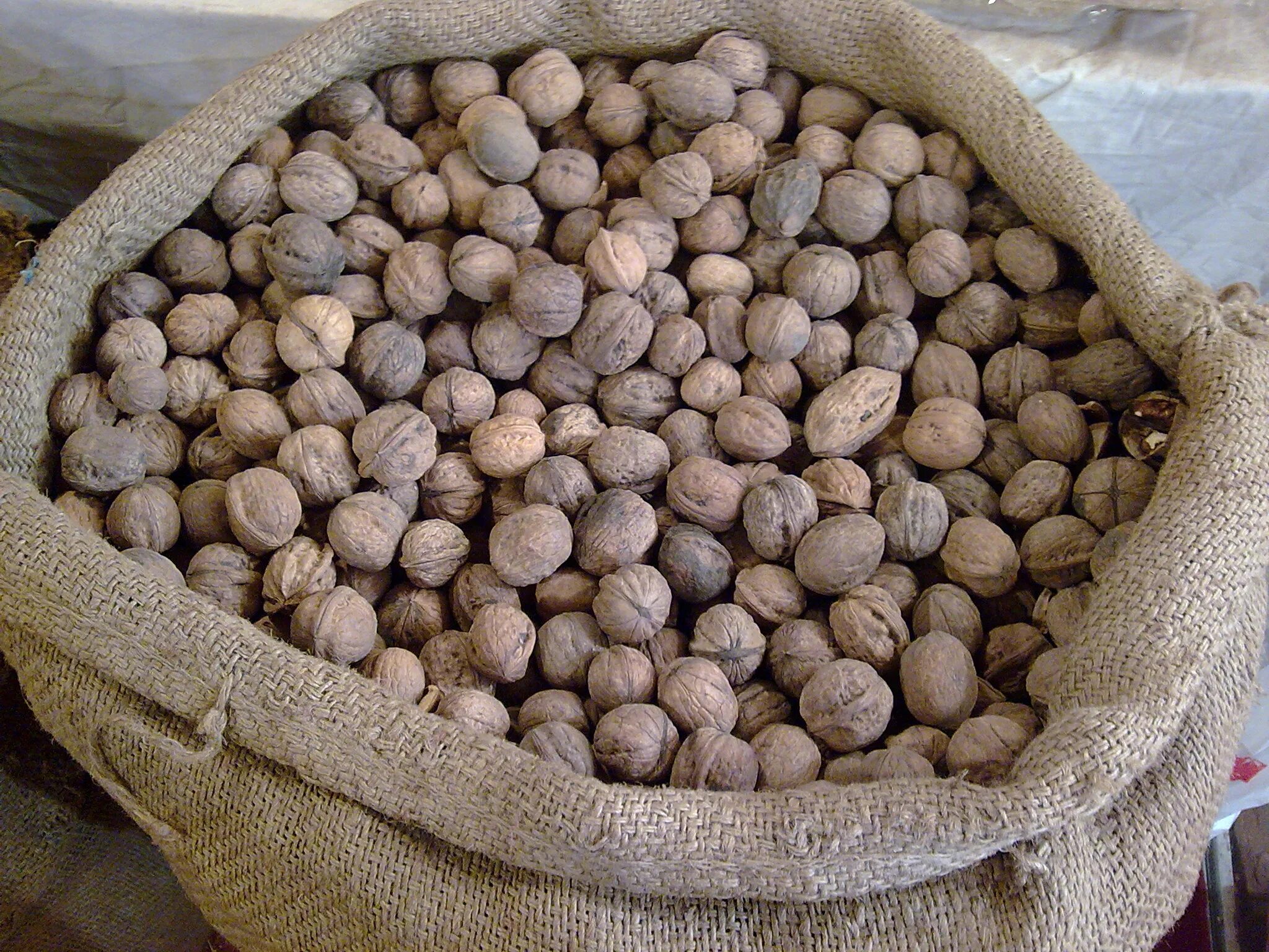 Nut sort 107