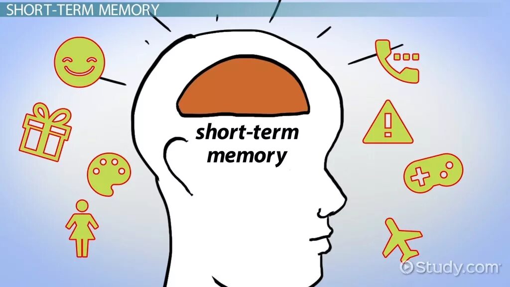 Short memory. Short term Memory. Short-term Memory mem. Long term Memory картинки. Пере short-term Memory mem.