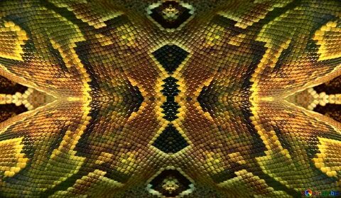 Python pattern