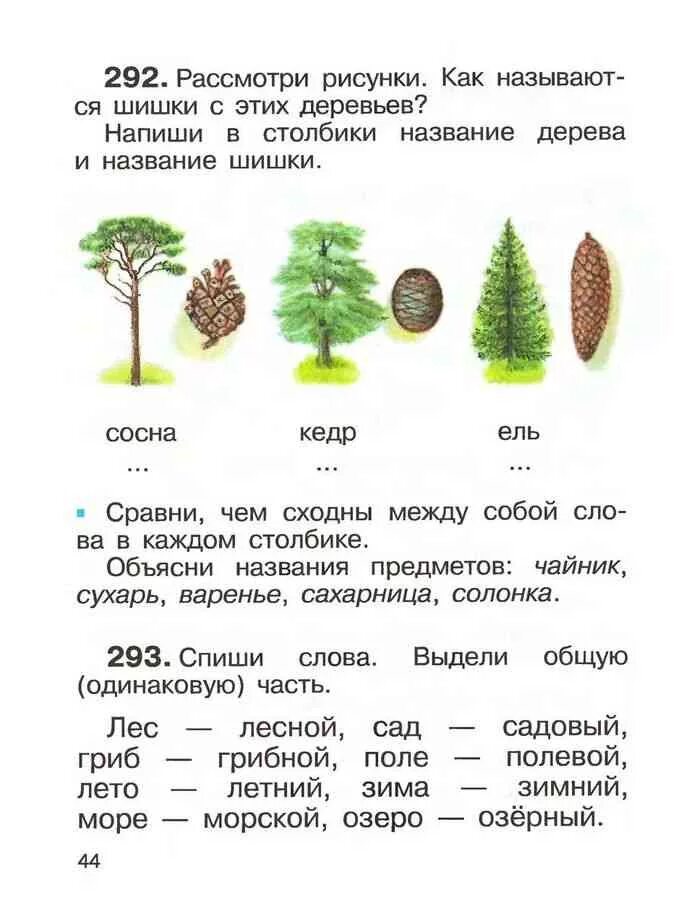 Рассмотрите рисунки русский язык 2 класс