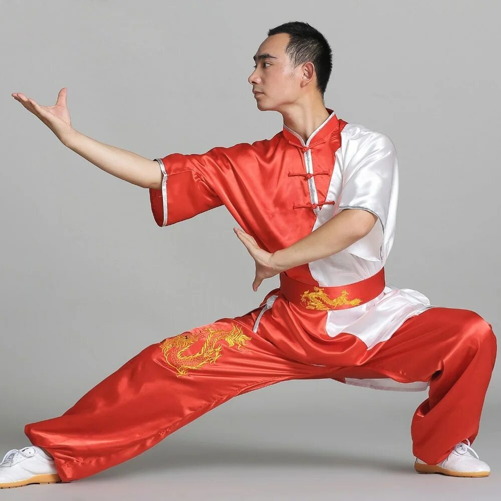 Ушу спорт боевые искусства. Ушу саньда и кунг фу. Кунг-фу боевое искусство. Ушу спорт боевые искусства. Кунг фу дети.