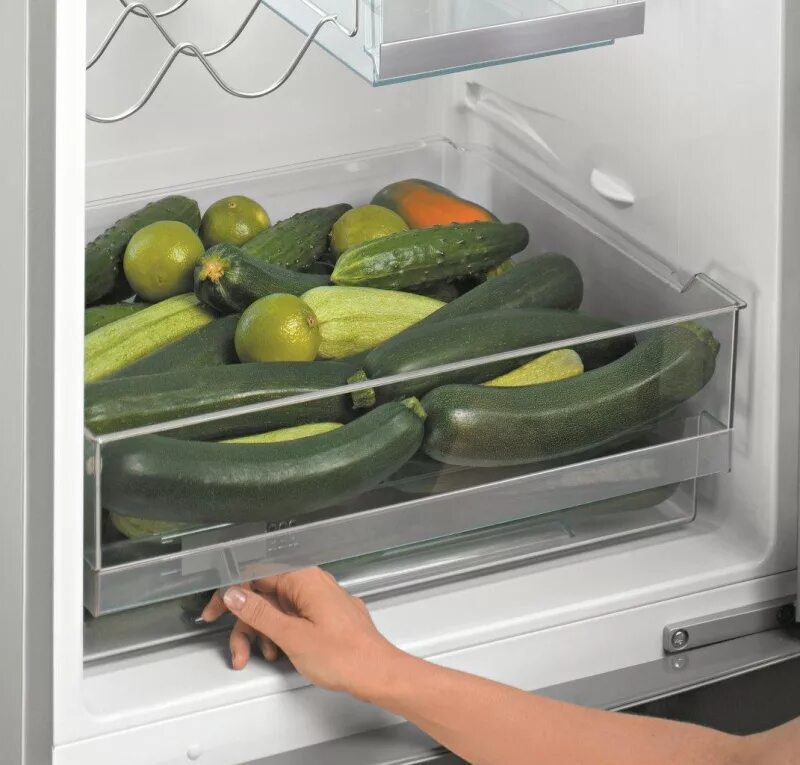 Холодильник Bosch KGS 36xw20r. Kgs36xw20r. Кабачок в холодильнике. Ящик для овощей в холодильник. Можно хранить огурцы в холодильнике