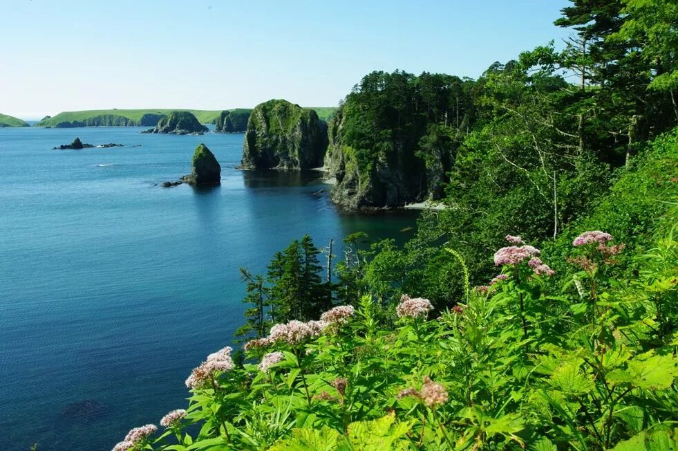 Бухта триозерье находка. Славянка приморский край море. Море скалы сосны лазурный берег франции. Триозерье бухта лазурная. Корсика бухта.