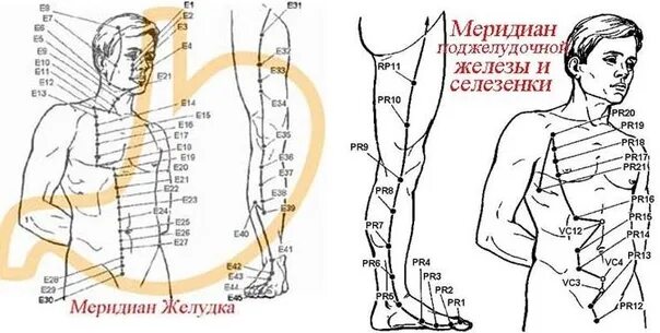 Меридиан селезенки точки меридиан. Меридиан селезенки и поджелудочной. Меридиан селезенки точки расположения. Канал селезенки в китайской медицине точки. Меридиан селезенки и поджелудочной.