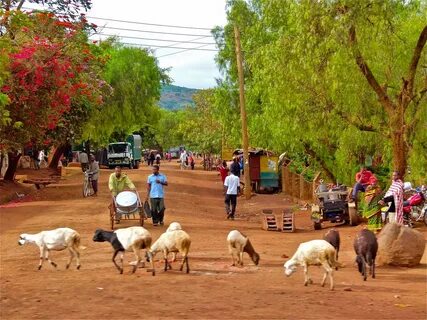 Rural environment