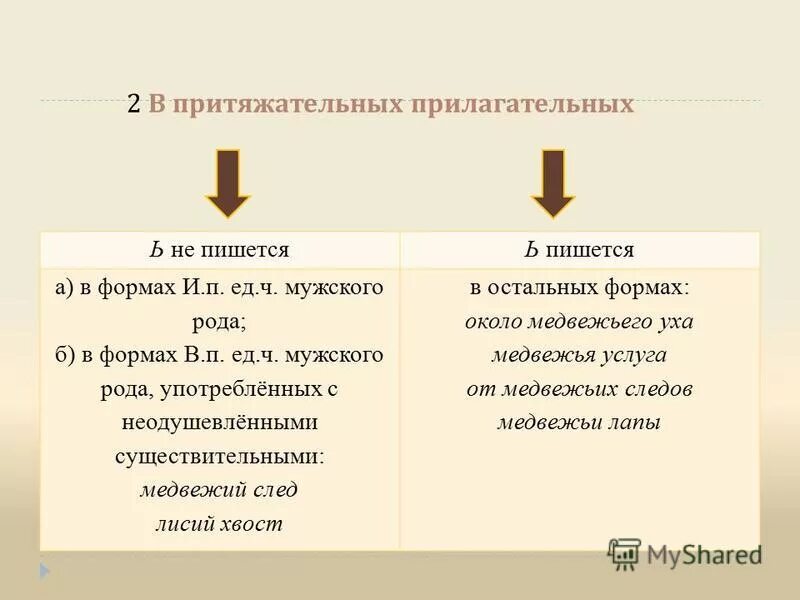 Как пишется сума. Написание ь в притяжательных прилагательных. Правописание мягкого знака в притяжательных прилагательных. Правописание мягкого знака в прилагательных правило. Суффиксы и окончания притяжательных прилагательных.