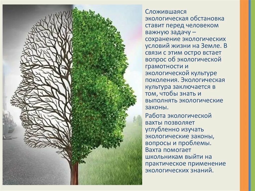 Сложившаяся экологическая ситуация. Загрязнение рыатмосфе. Брошюра по загрязнению окружающей среды. Сложившаяся экологическая ситуация. Международное сотрудничество в охране окружающей среды.